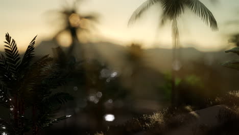 Coco-palm-trees-tropical-landscape